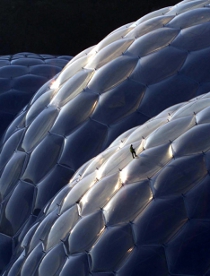 Progetto_Eden_uomo